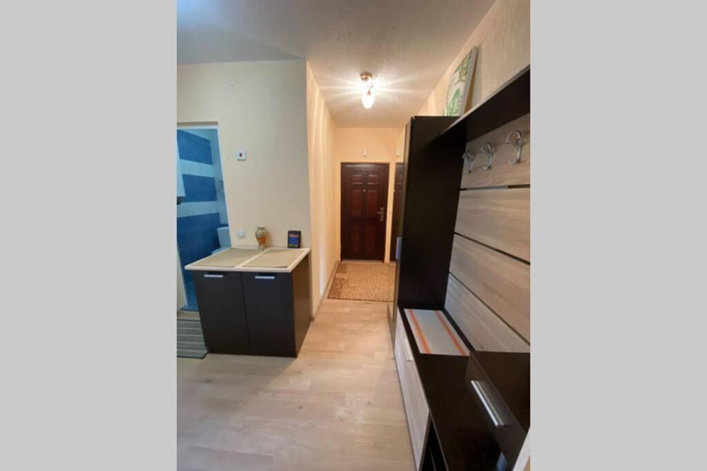 Sunny Apartment By The River Sandanski Extérieur photo